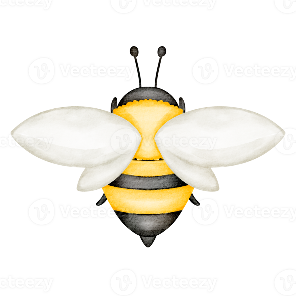 imágenes prediseñadas de abeja acuarela png