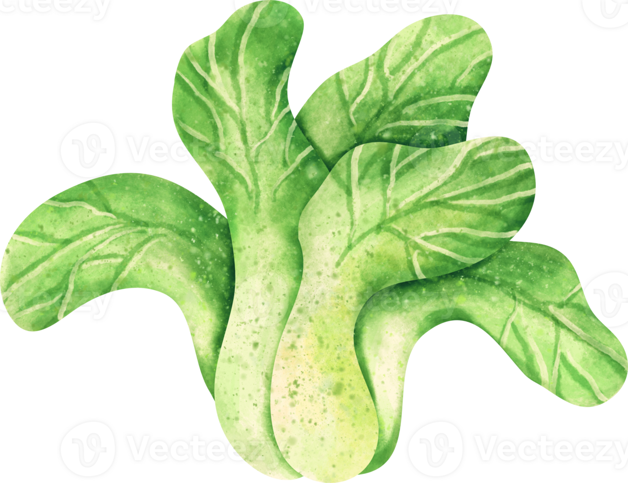 watercolor bok choy png