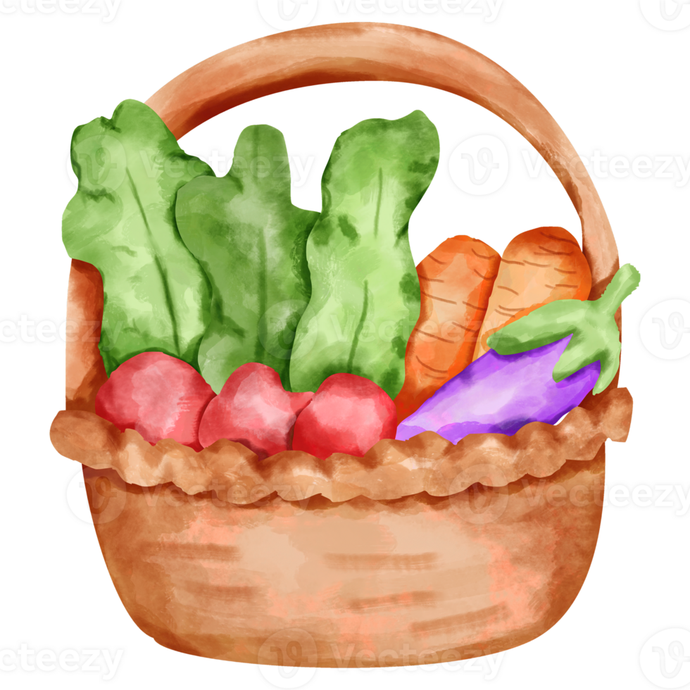 watercolor vegetable basket png