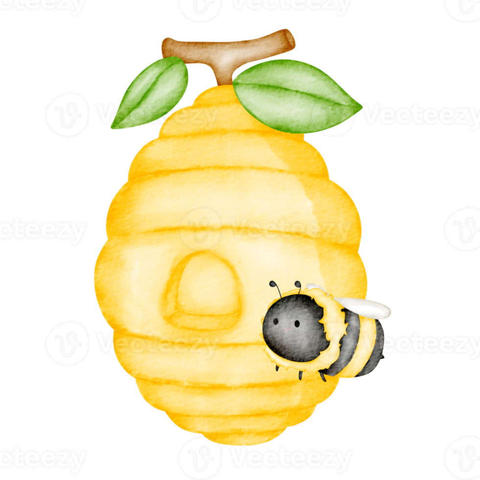 watercolor honey comb png