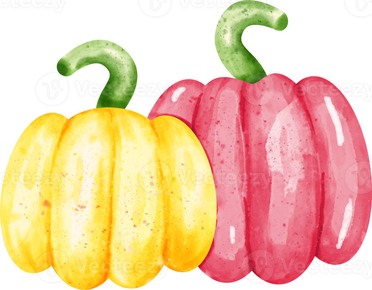 watercolor bell pepper png