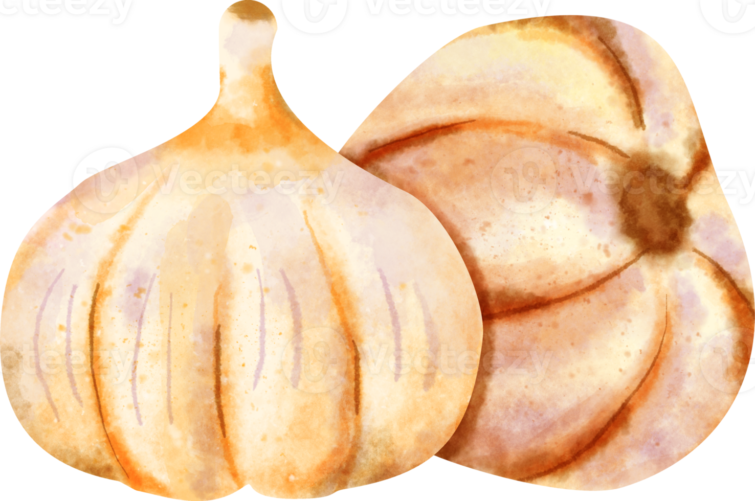 watercolor Garlic vegetable png