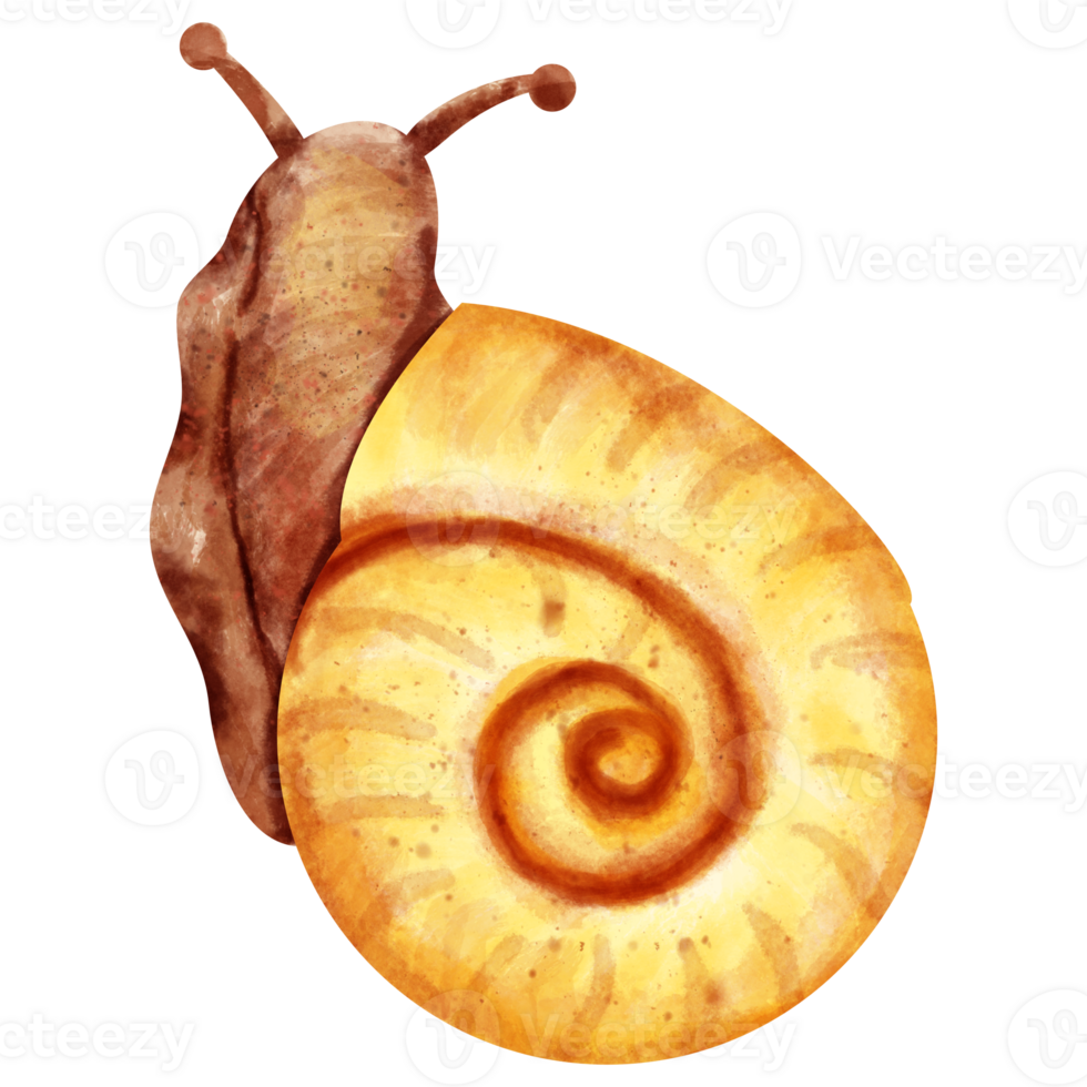 watercolor snail clip art png