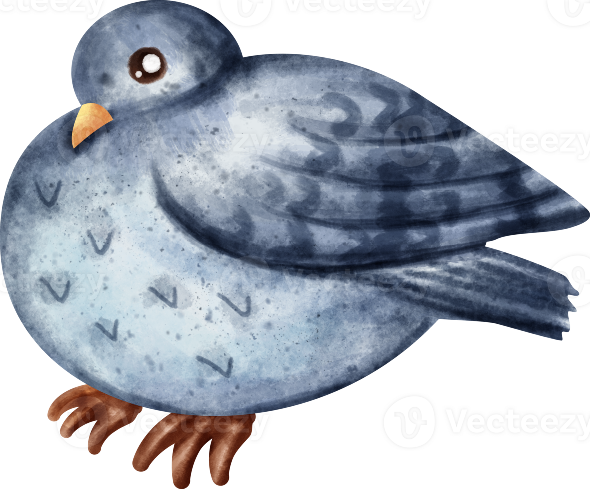 watercolor pigeon clip art png