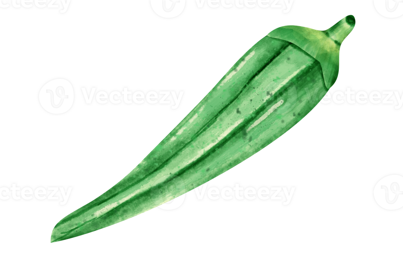 watercolor okra vegetable 23297591 PNG
