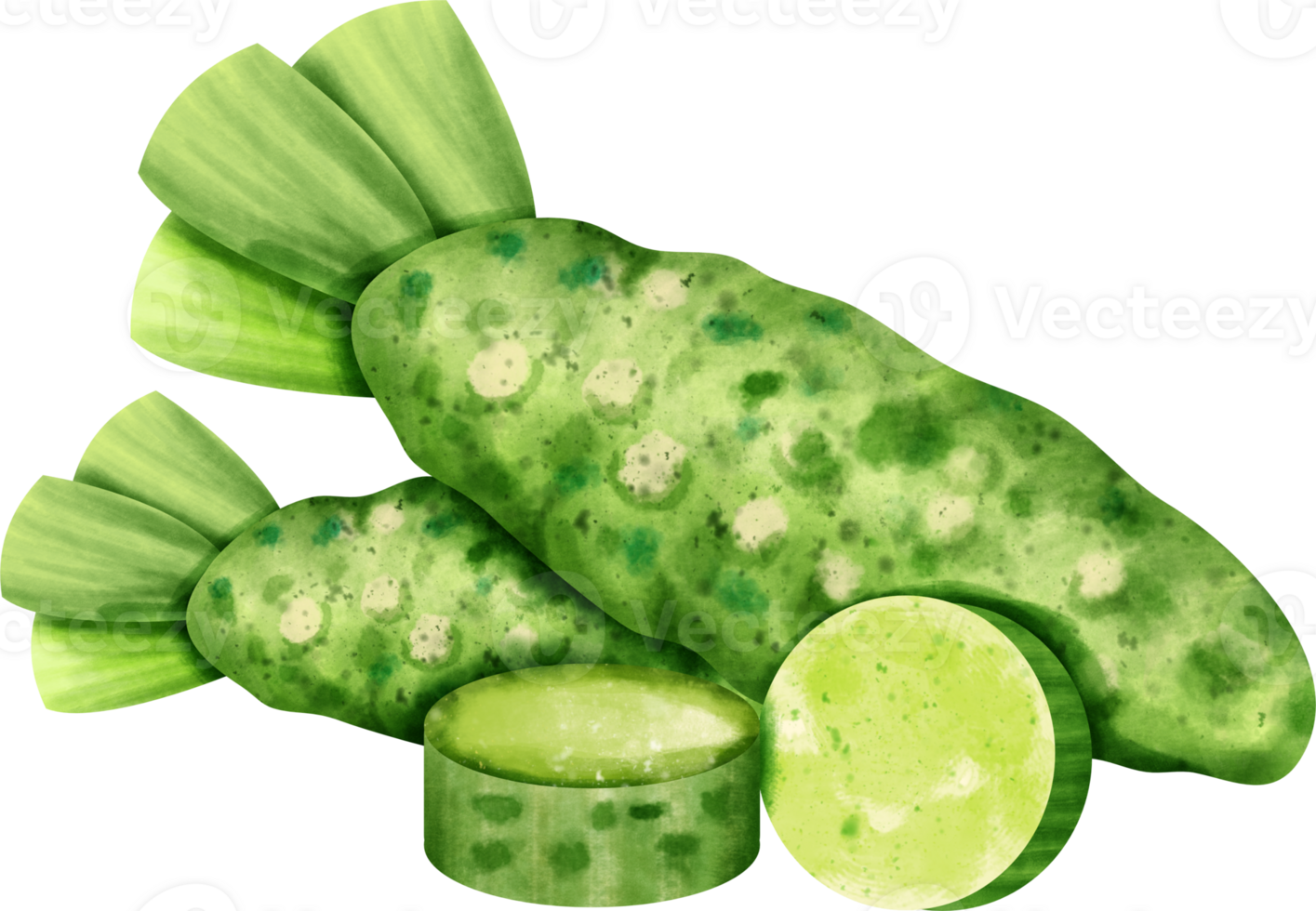 watercolor Wasabi root png