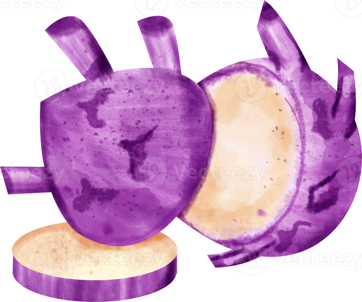watercolor Kohlrabi purple png