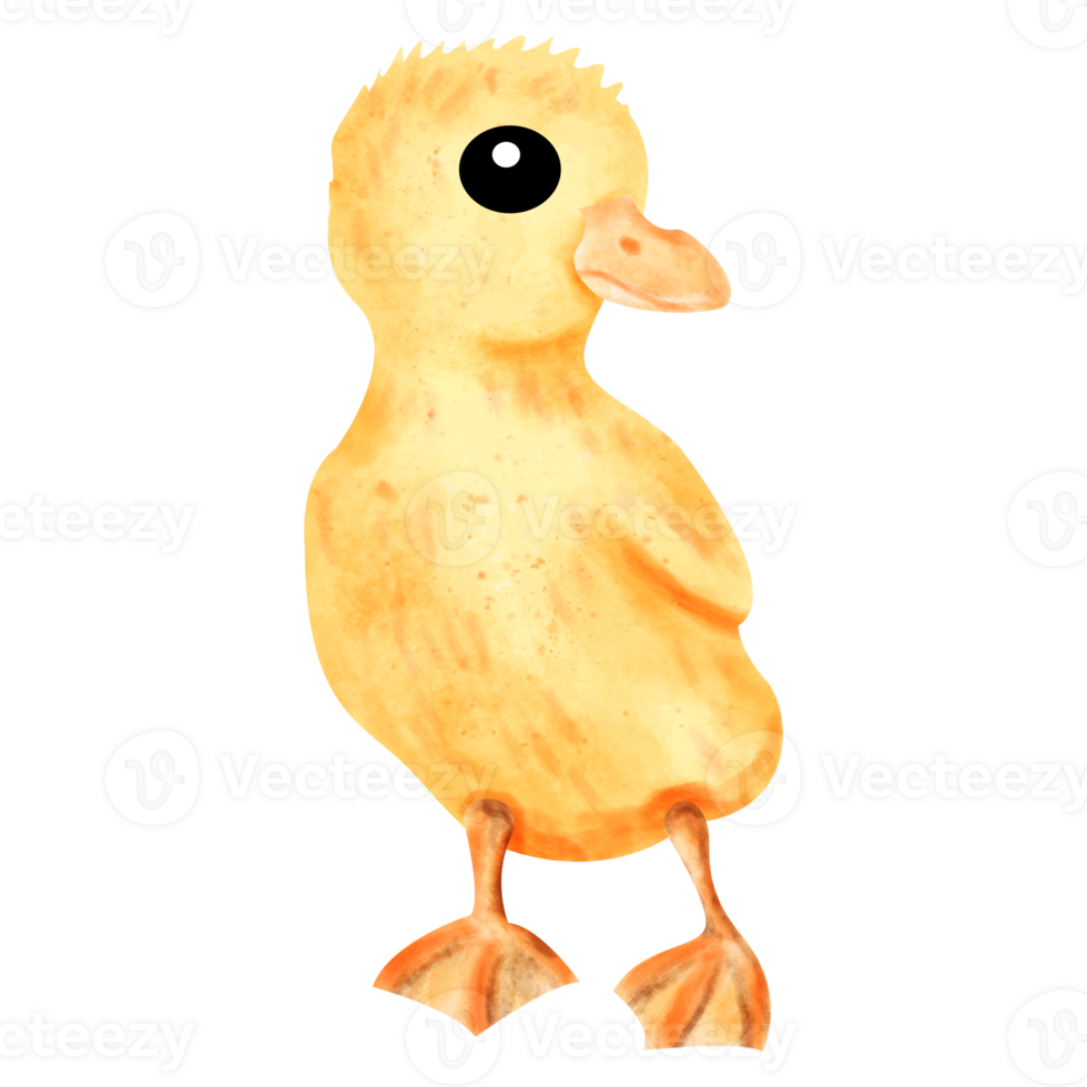 watercolor duck clip art png