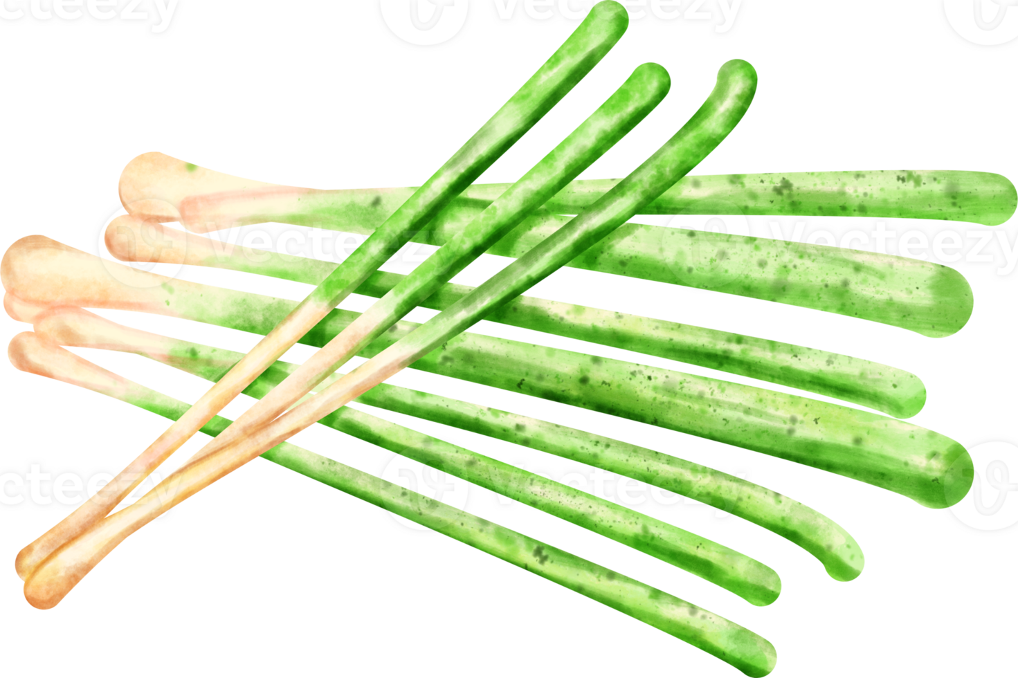 watercolor Spring onion png