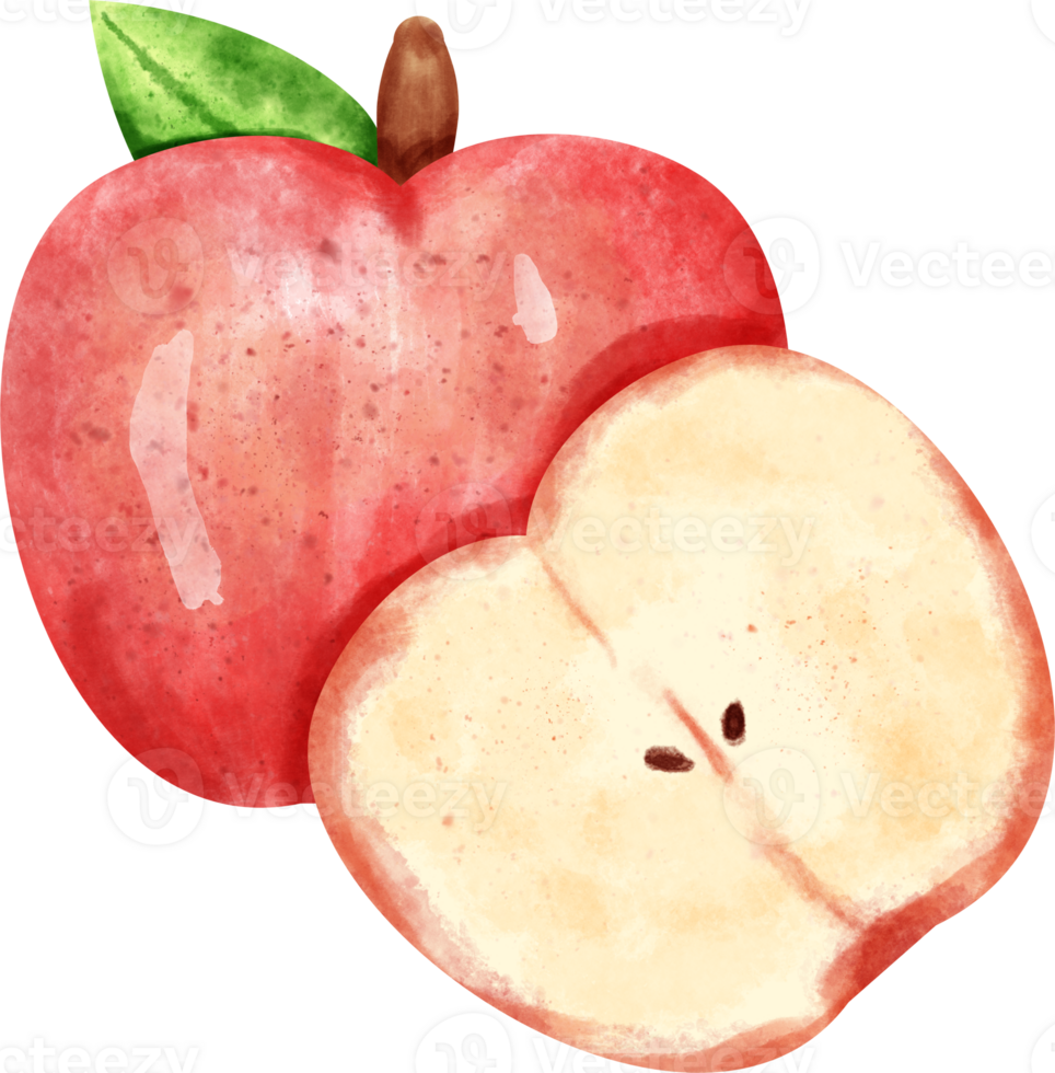 watercolor Apple fruit png