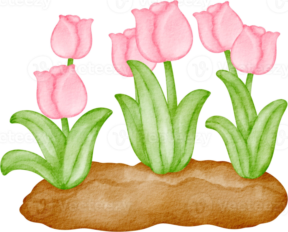 watercolor flower clip art png