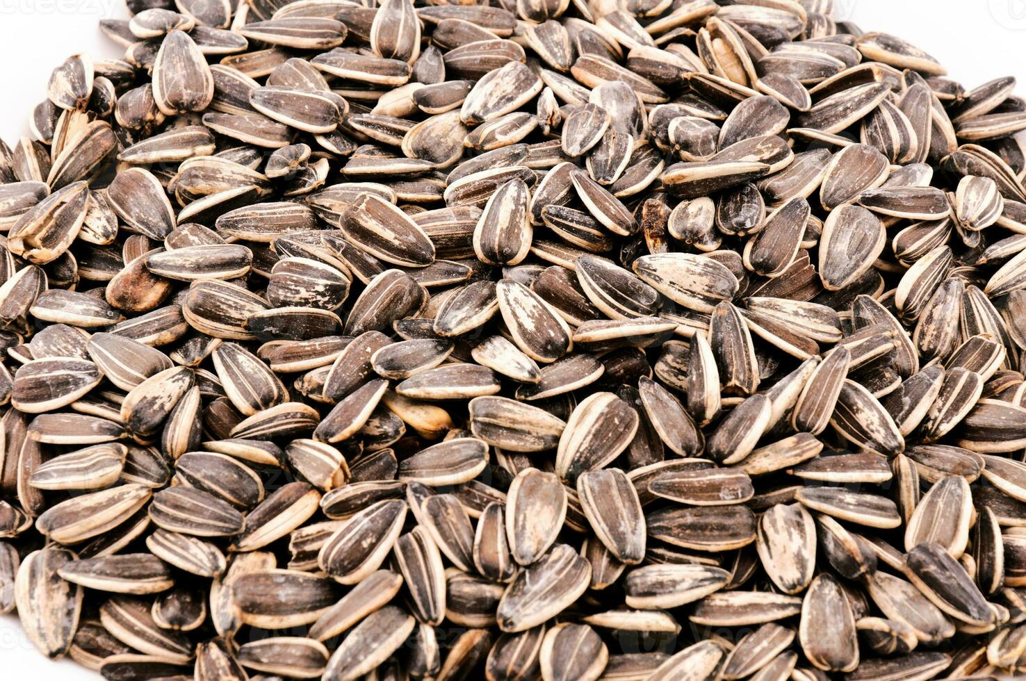 Sunflower seeds background photo