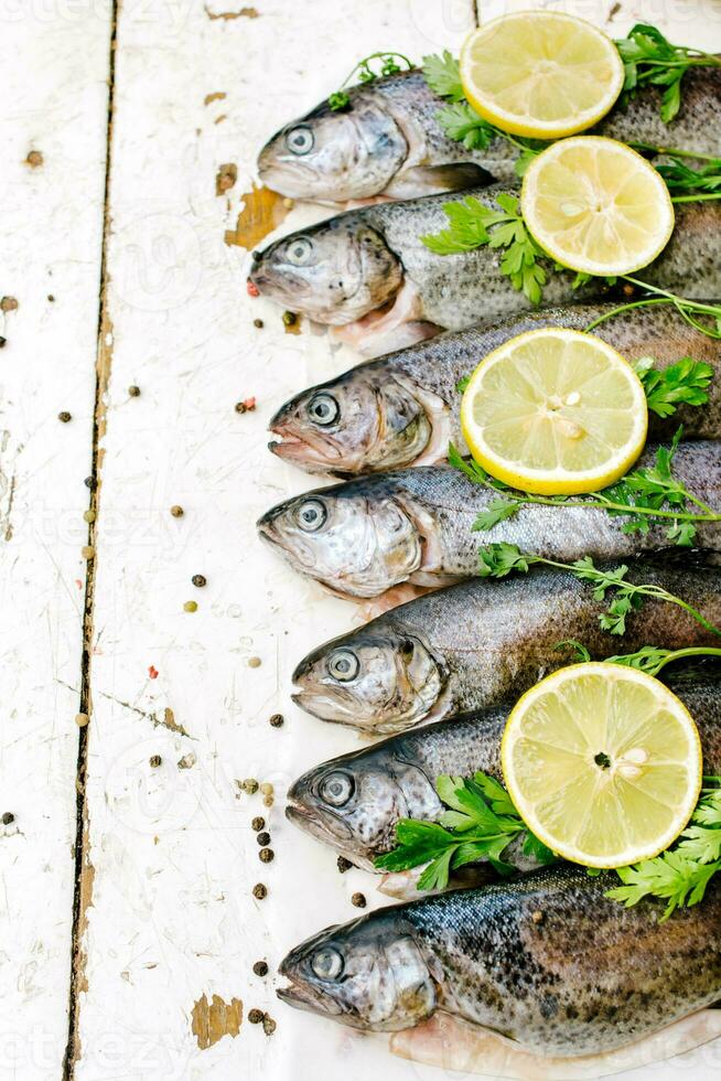 Fresco pescado en el mercado foto