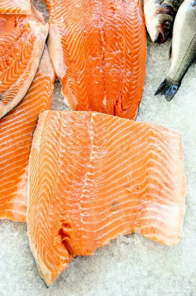 Fresh red salmon photo