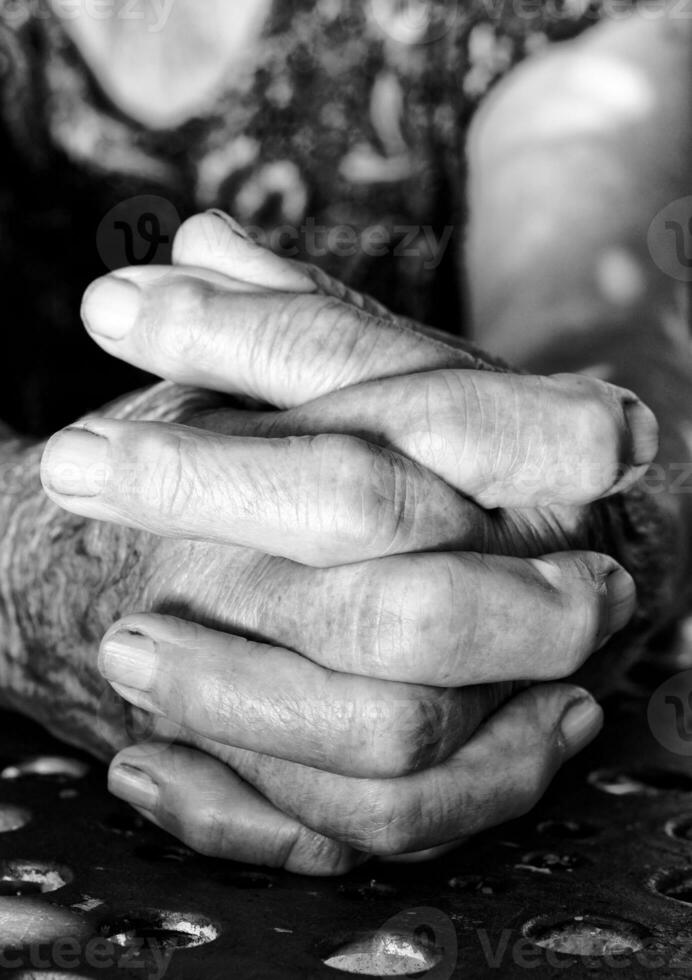 Old female hands photo