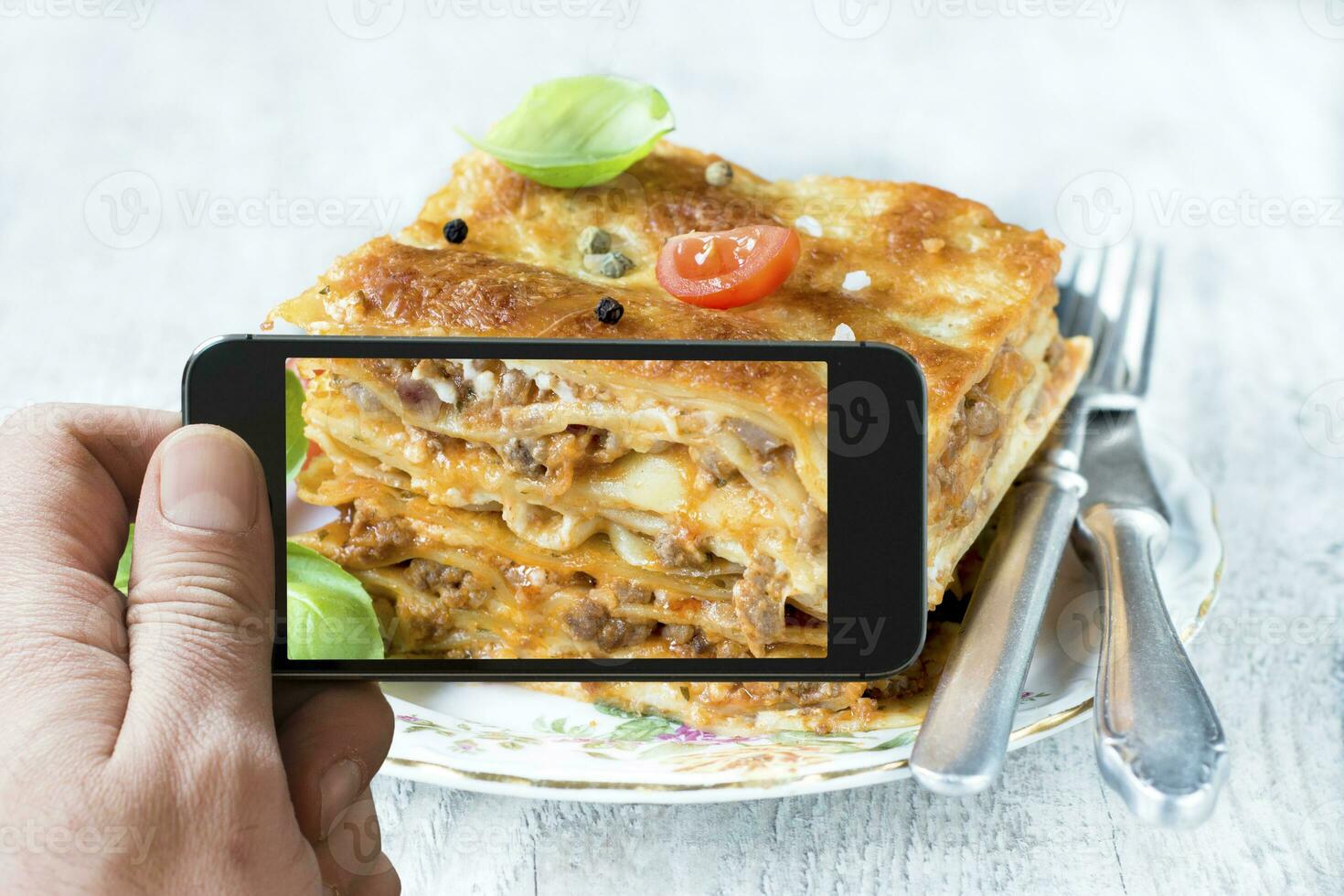 Homemade Italia Lasagna photo