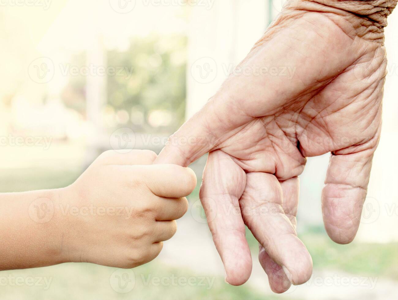 Old and young hands photo