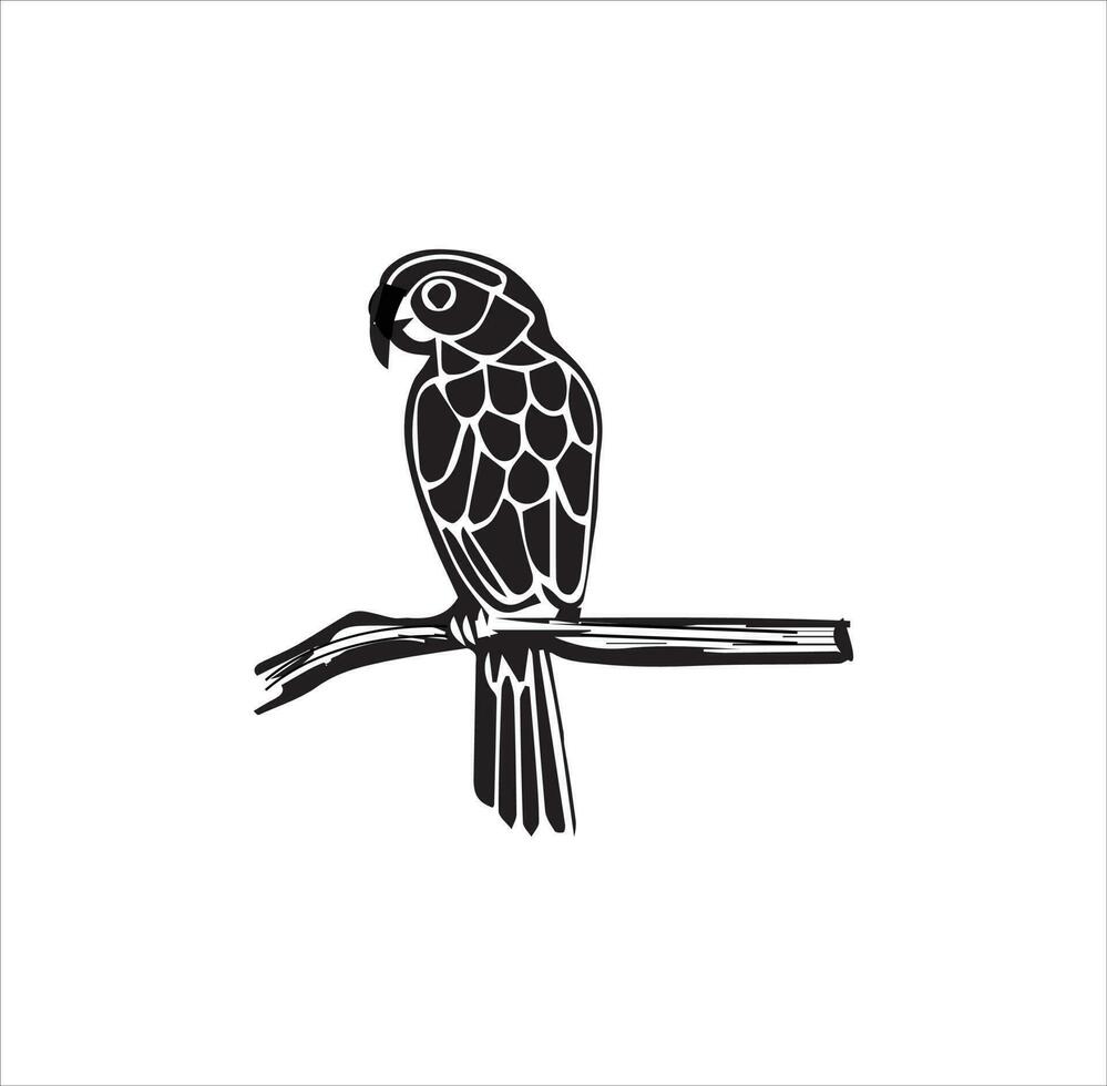 A parrot vector line art work.