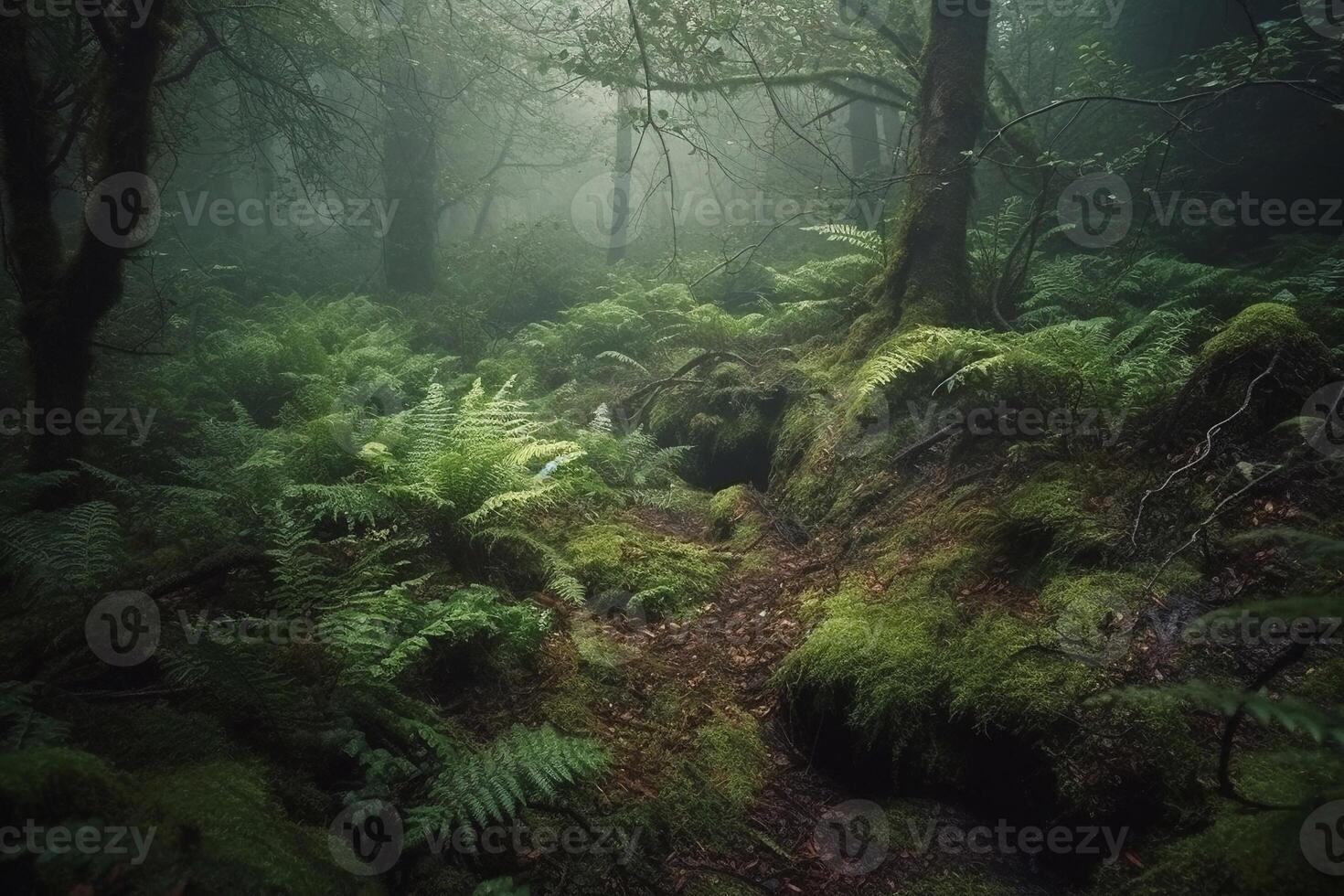 Morning light in the forest AI Generate photo