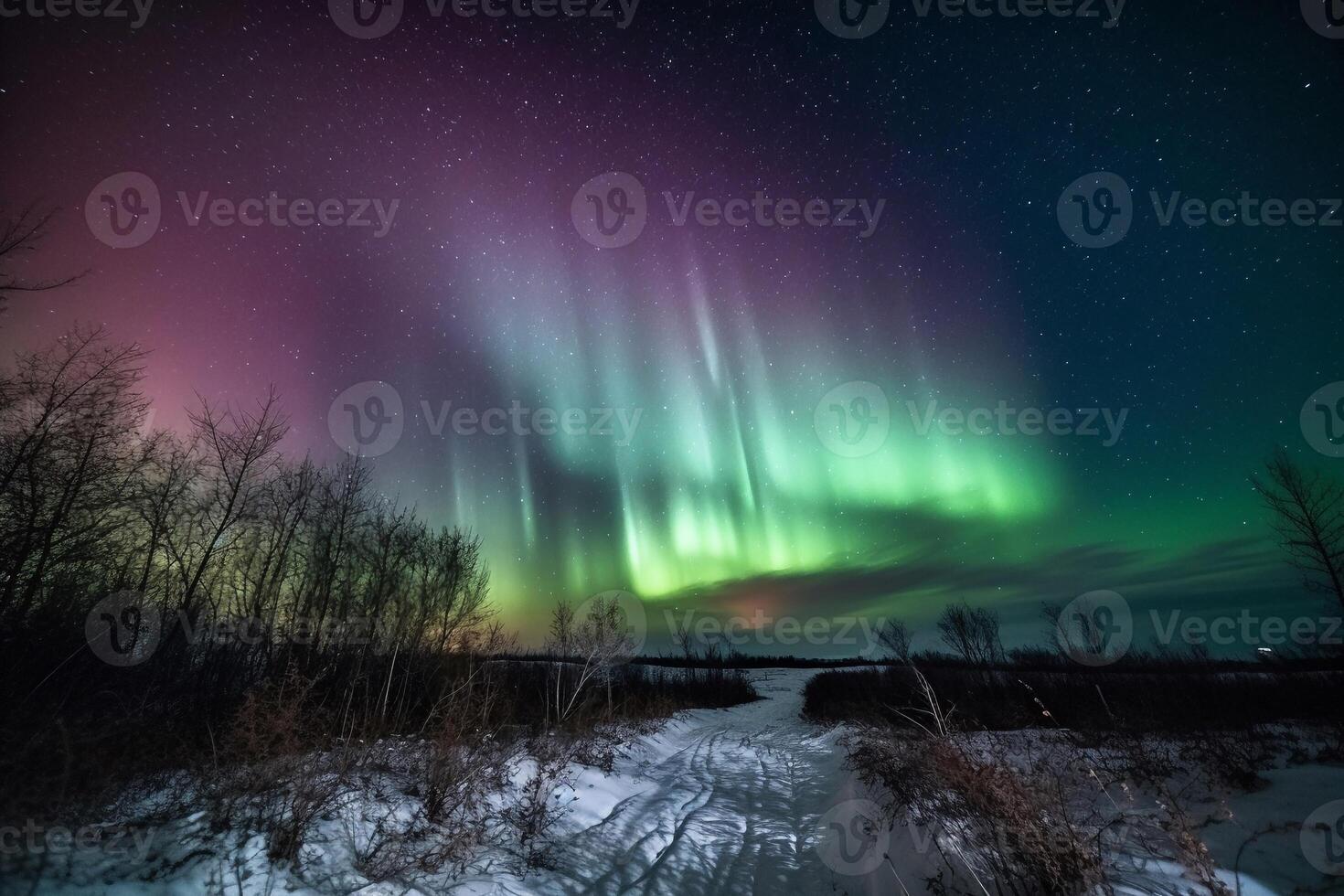 Beautiful aurora in the night sky ai generate photo