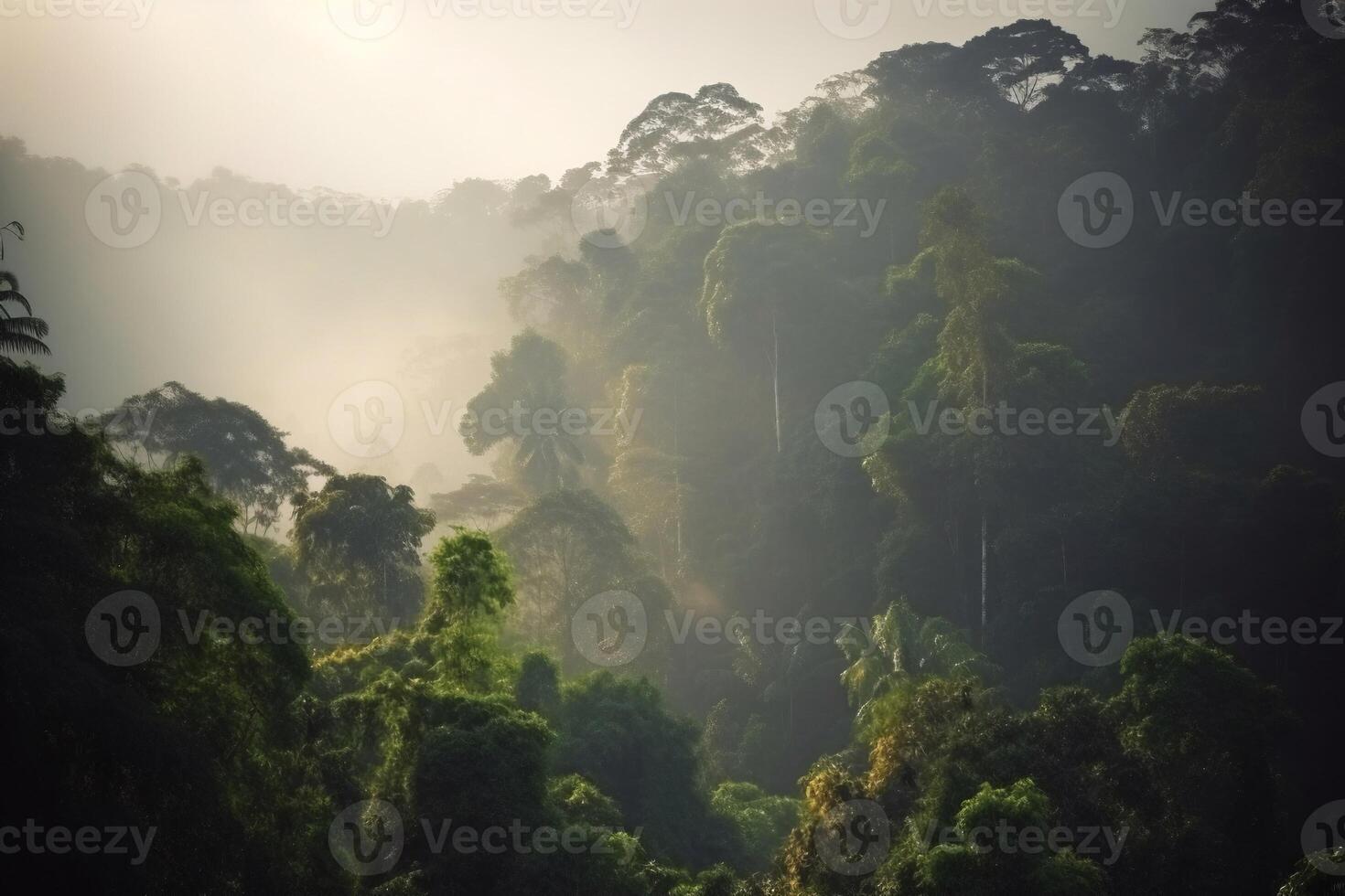 Morning light in the forest AI Generate photo