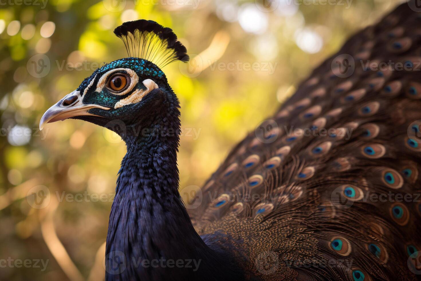 Beautiful Peacock on the forest AI Generate photo