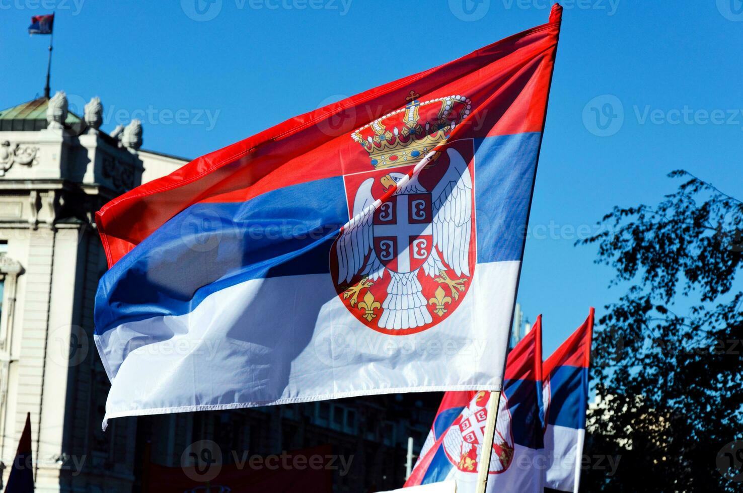 serbio banderas ondulación foto