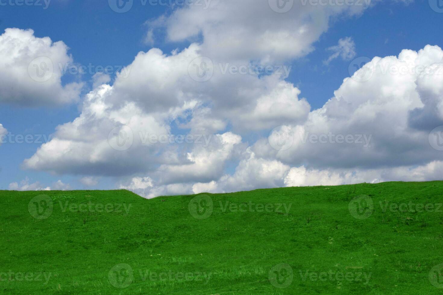 Green field landscape photo