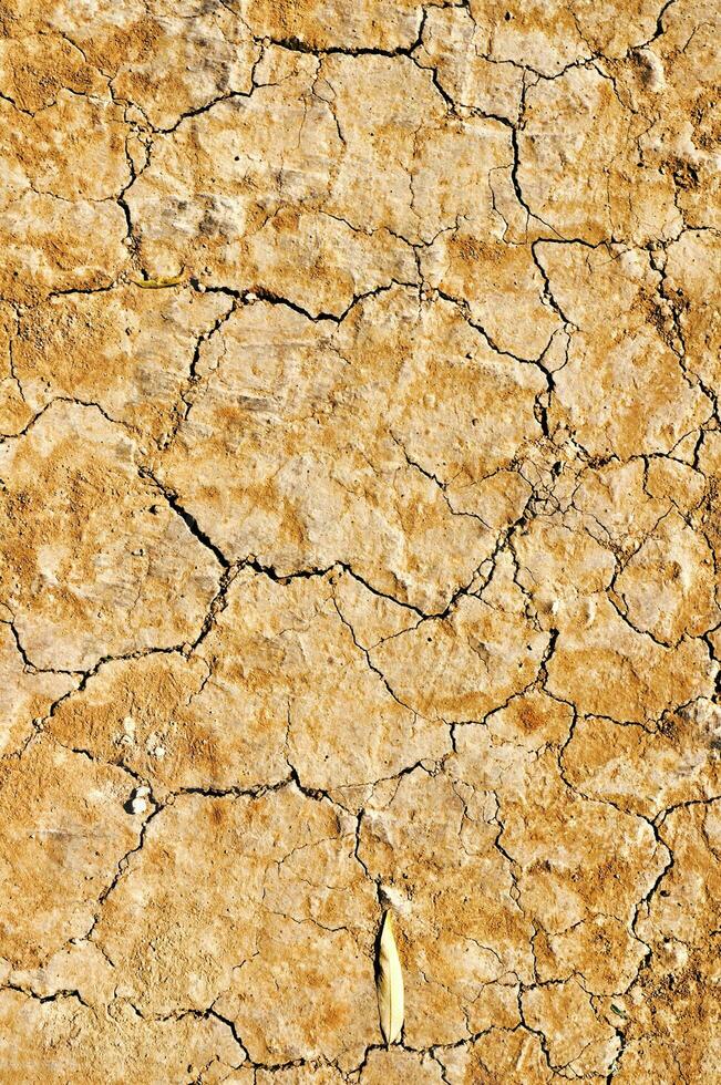 Cracked ground background photo