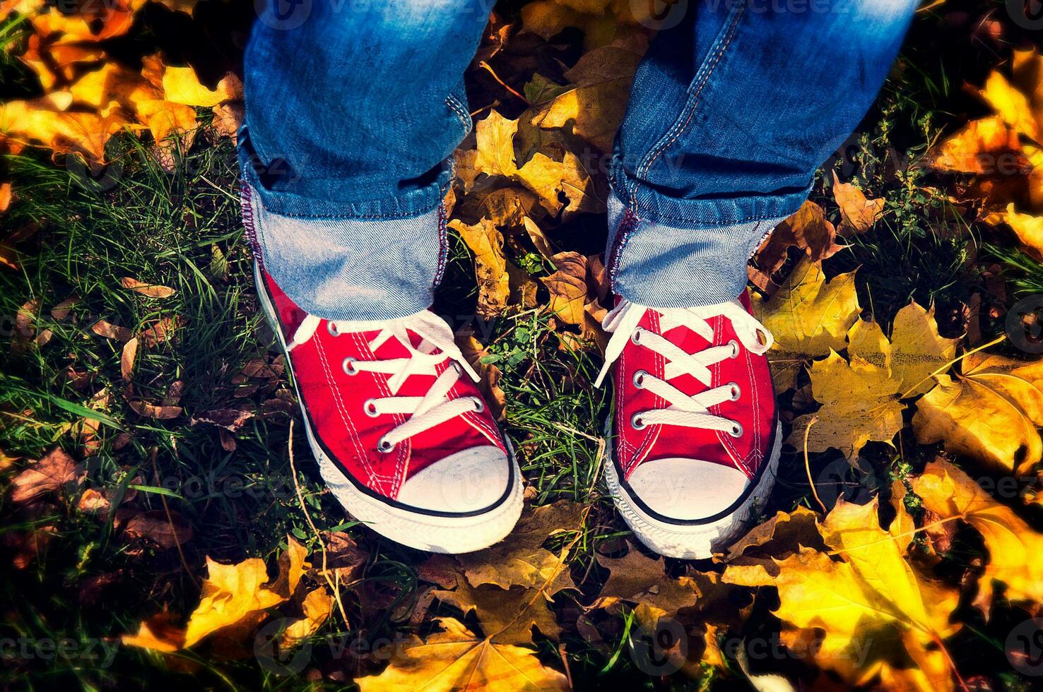 rojo Zapatos en amarillo hojas foto