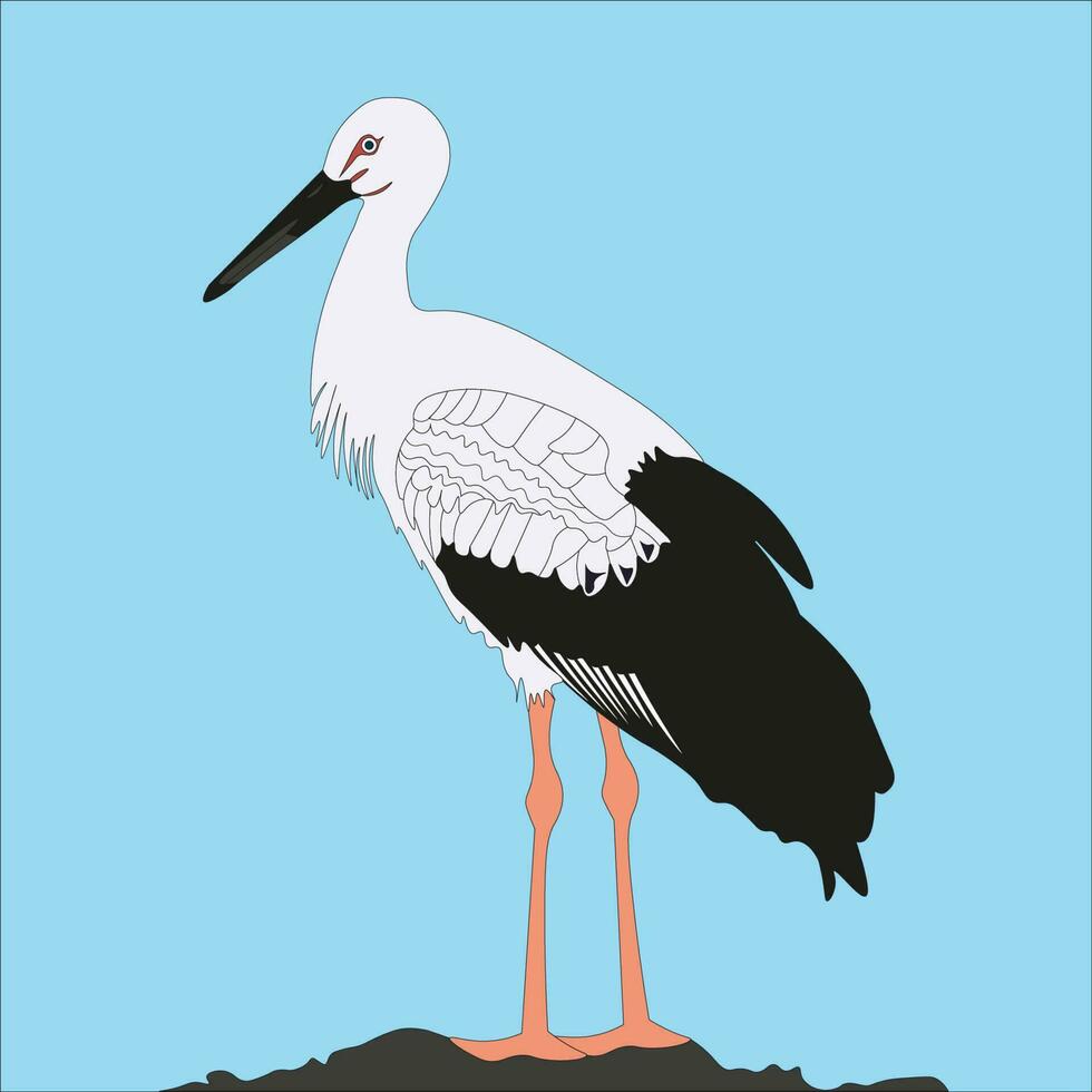 illustration The Oriental crane is a large white bird with black wing feathers in the stork family Ciconiidae. vector