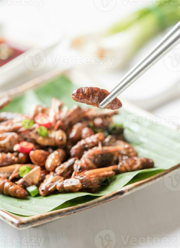 fried larva on chopsticks, edible insect eating photo