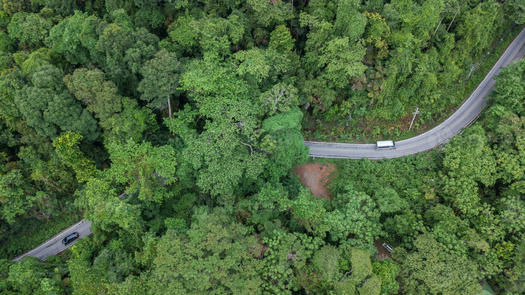 Aerial top view top view of the road through the forest photo