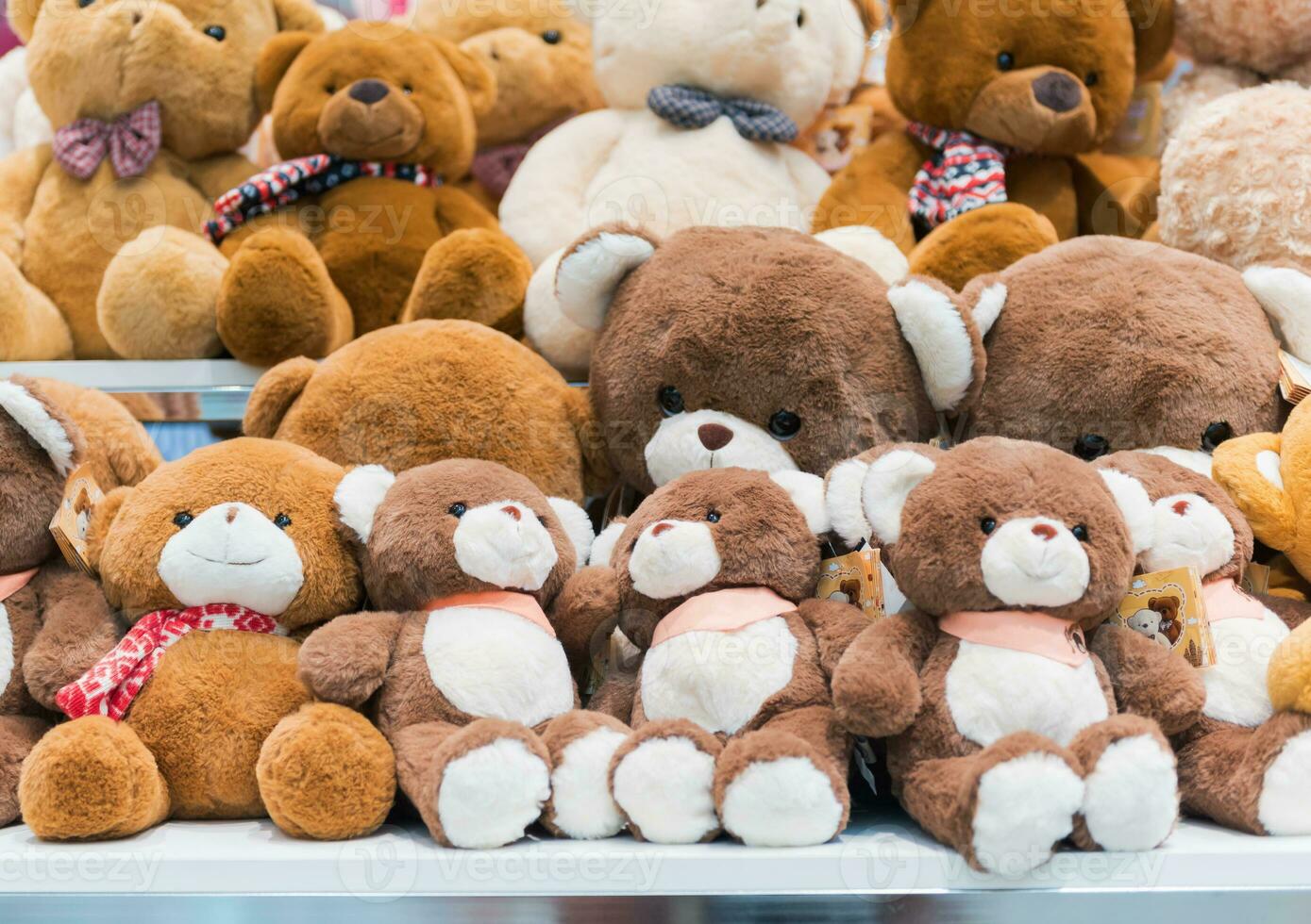 cute teddy bears dall on shelves photo