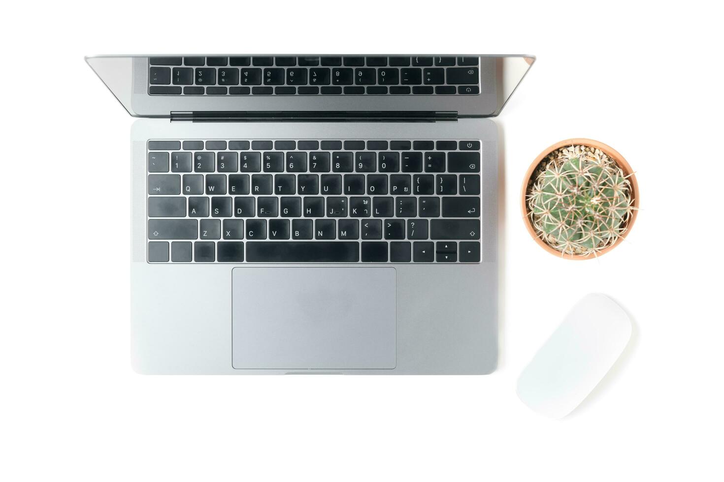 Modern workspace with small cactus and laptop photo