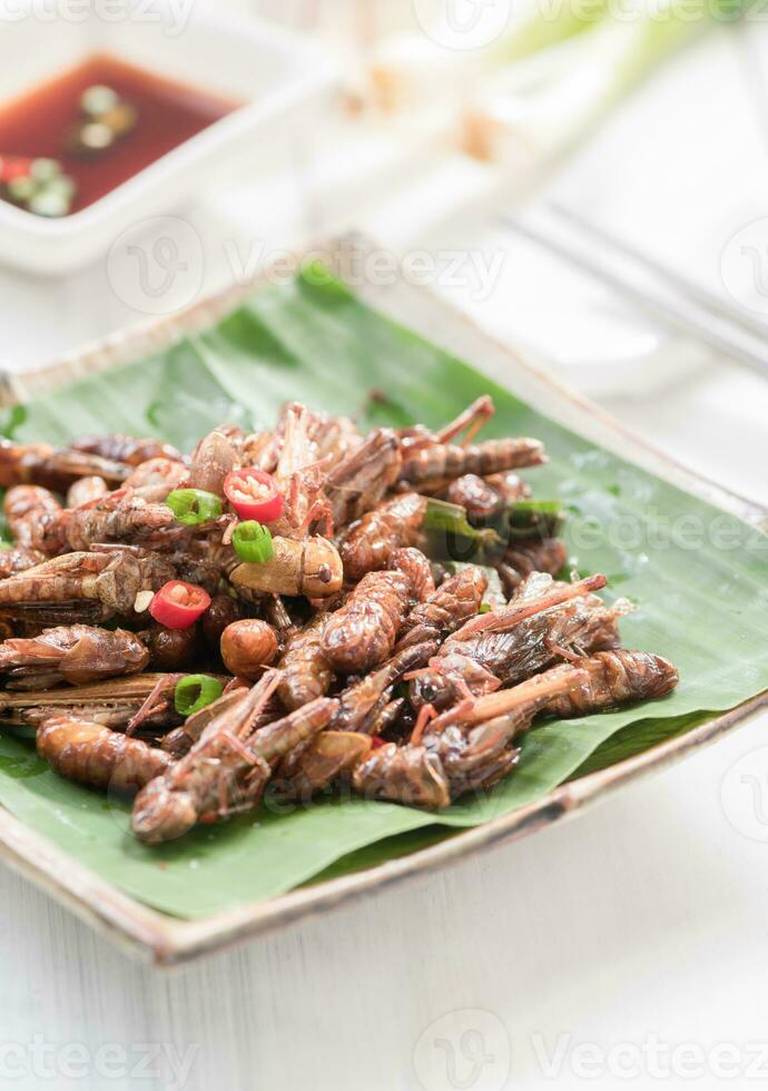Fried grasshoppers and fried wormer fried silkworms photo