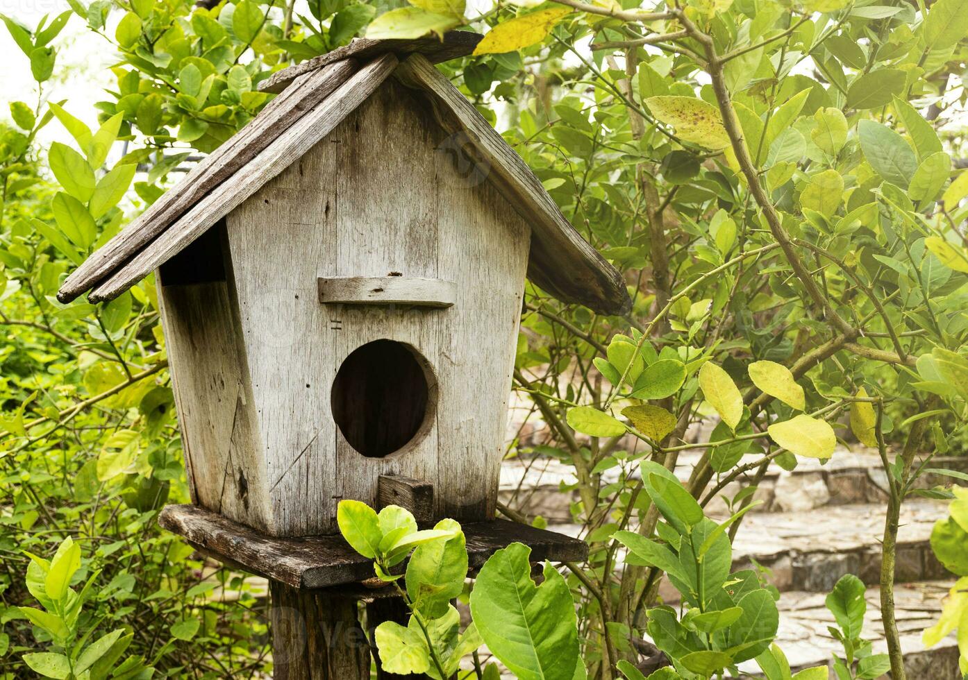 Wooden bird house with natural background photo