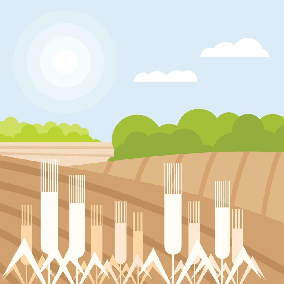 Wheat Fields Vector Graphics, Isolated Background.