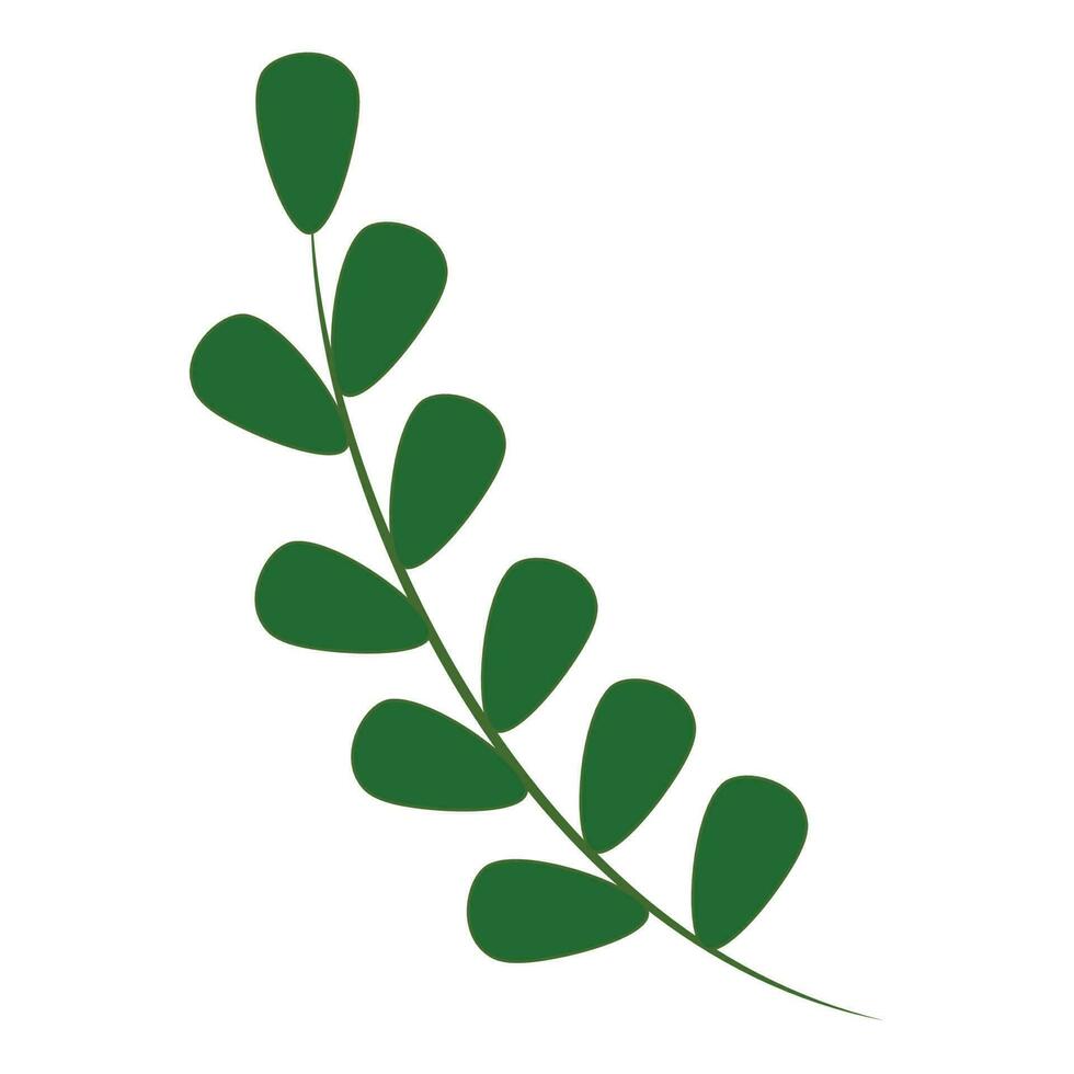 Isolated Green Leaves Branch Over White Background. vector