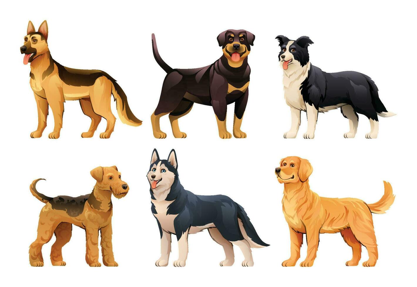 Set of different dog breeds vector illustration