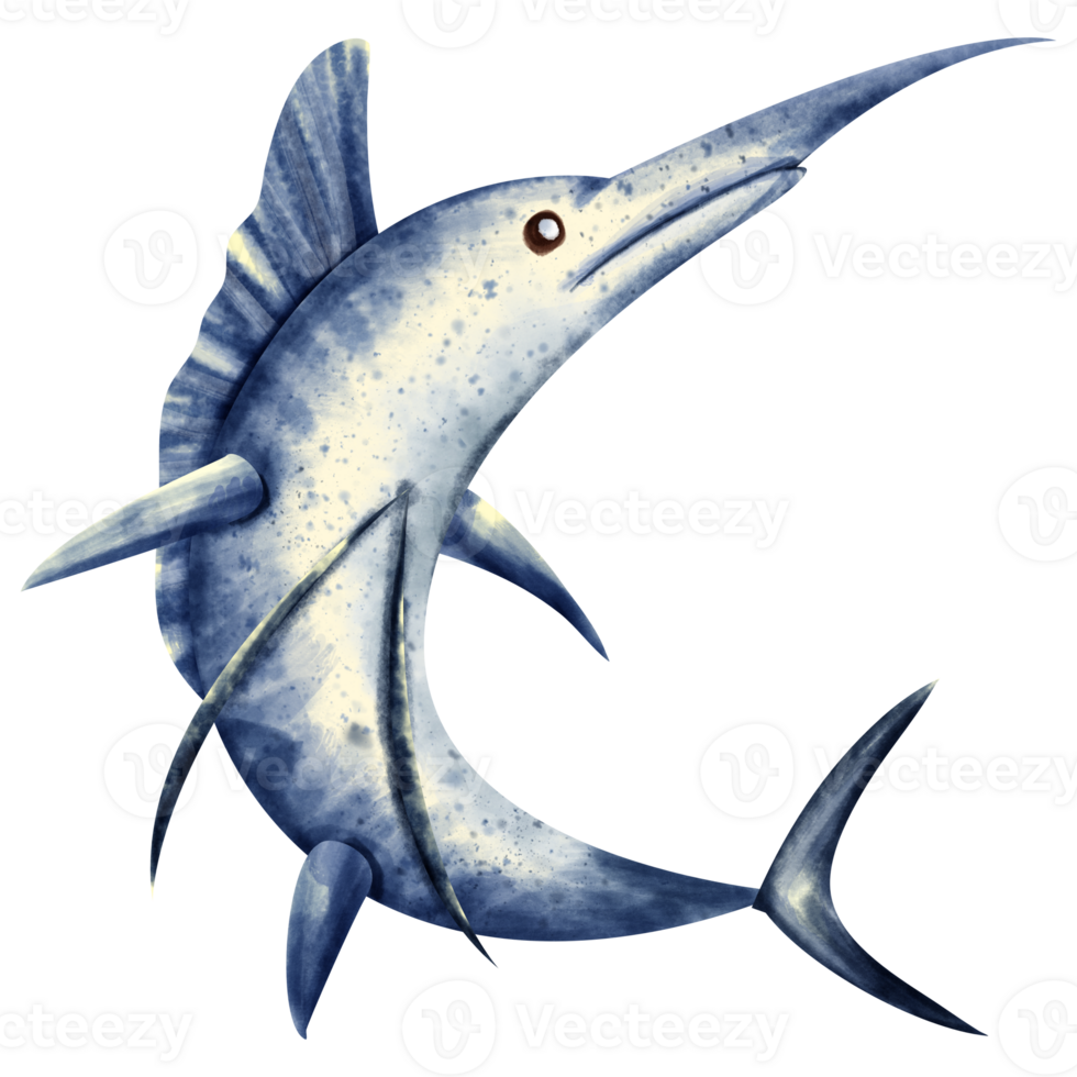 watercolor swordfish sea animal 23322167 PNG