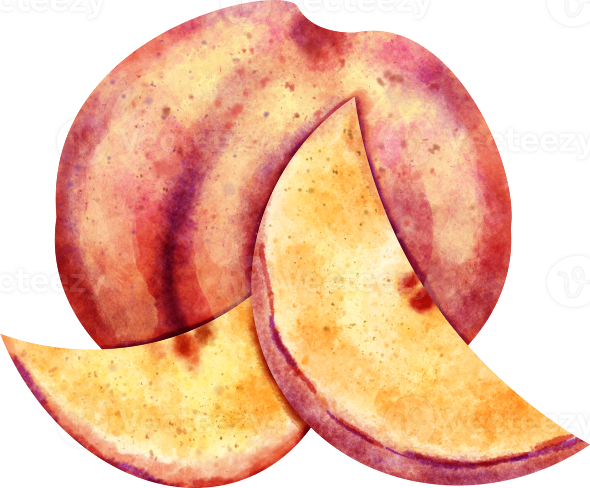 watercolor Nectarine fruit png