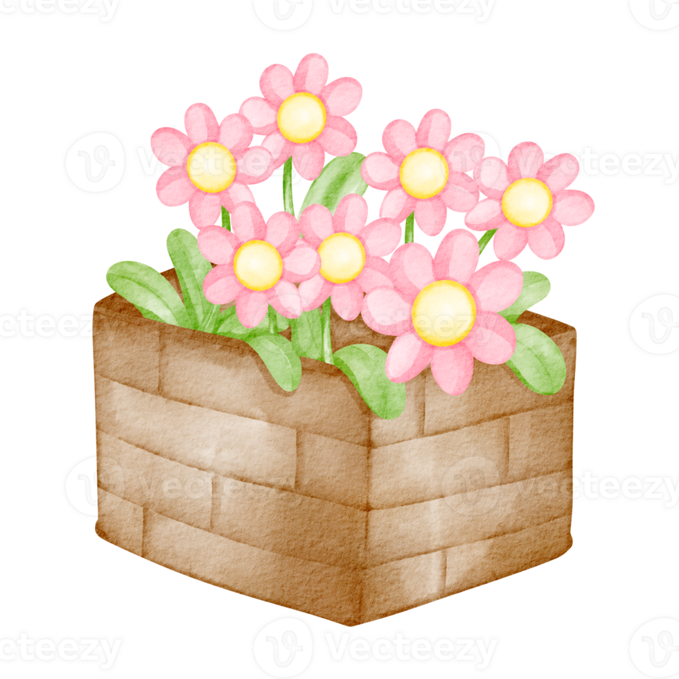watercolor flower box png