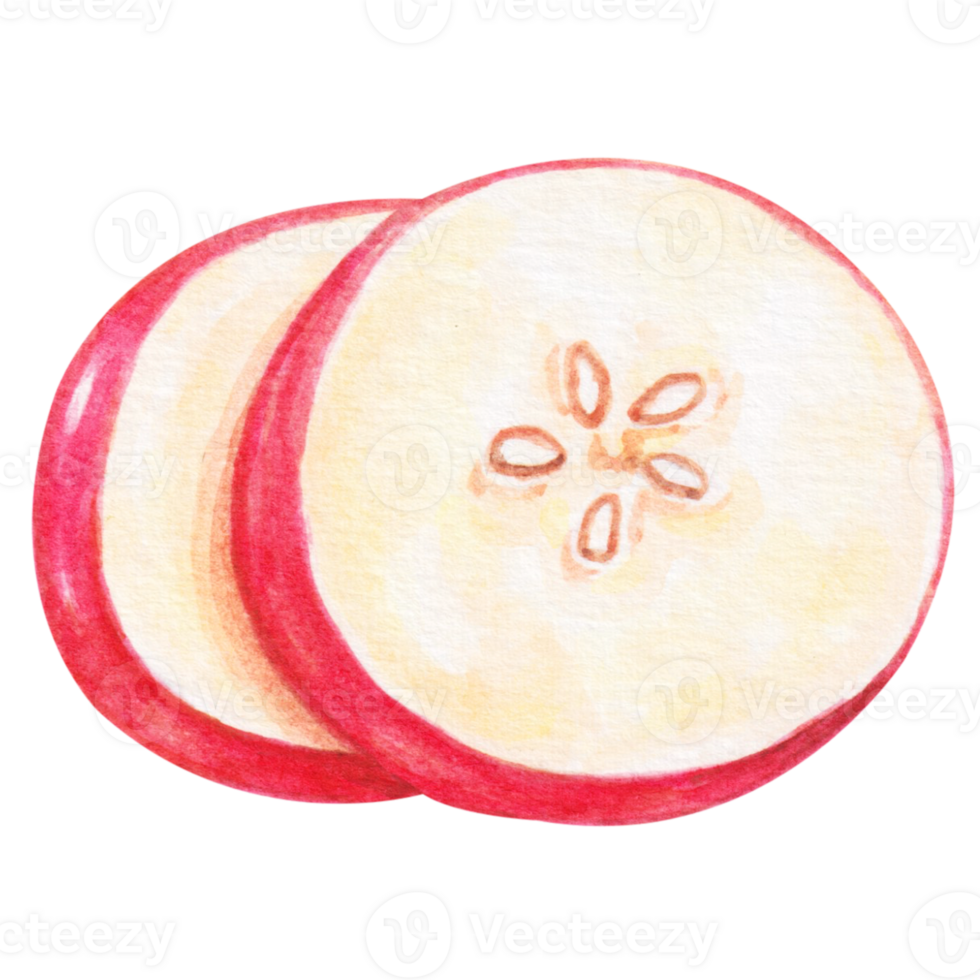 watercolor apple fruit png