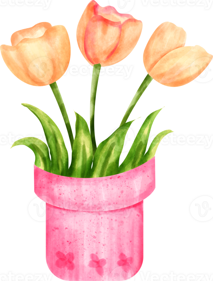 watercolor flower clip art 23322356 PNG