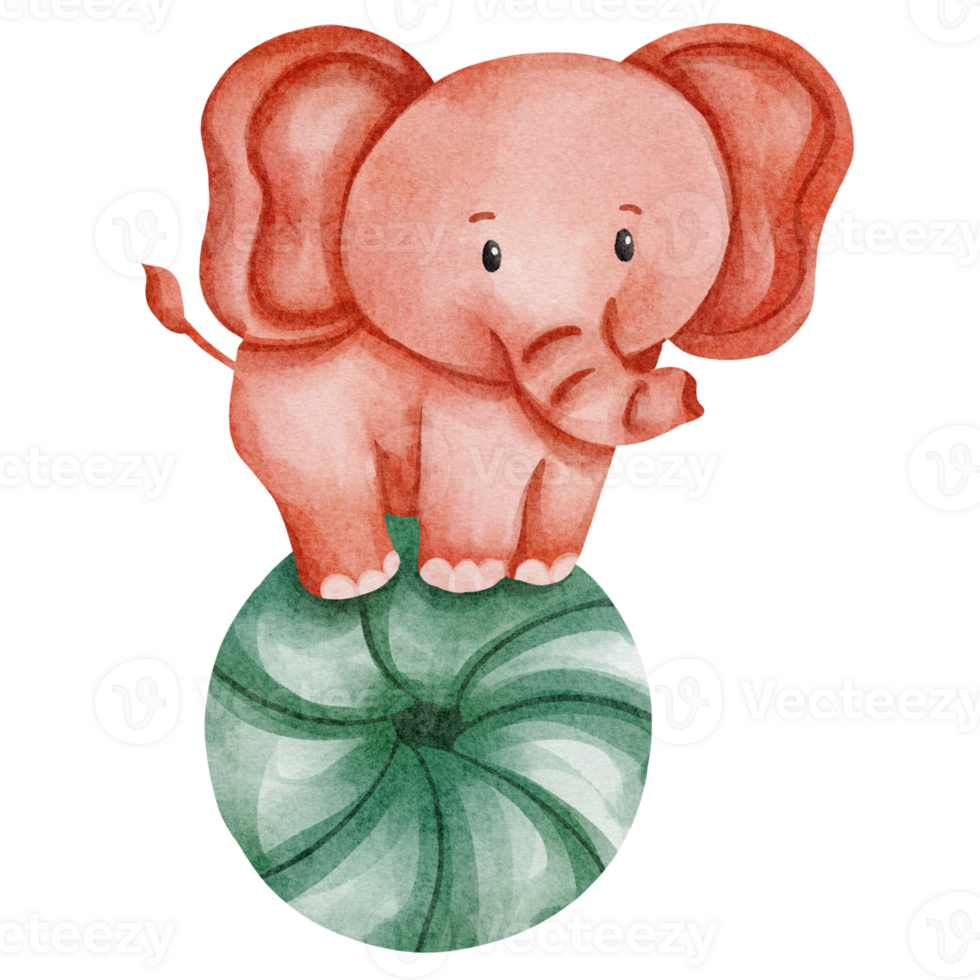 imágenes prediseñadas de elefante acuarela png