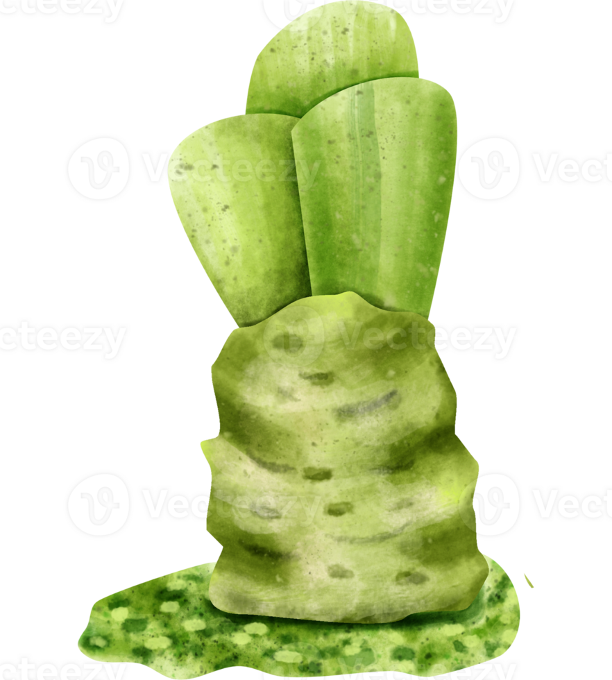 watercolor wasabi clip art 23322374 PNG