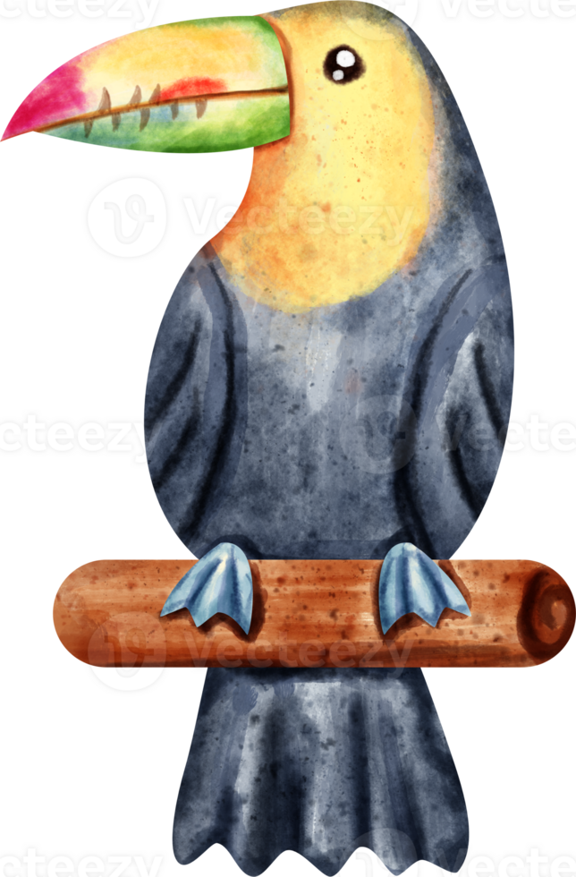 watercolor toucan clip art png