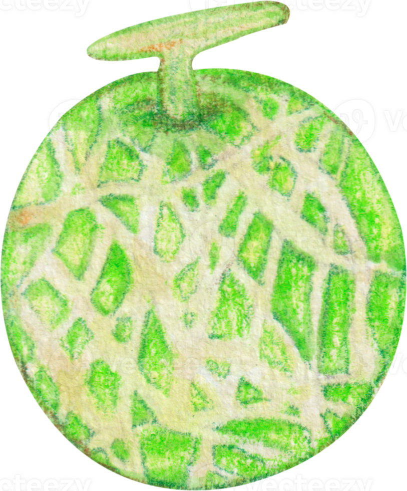 acuarela Cantalupo Fruta png