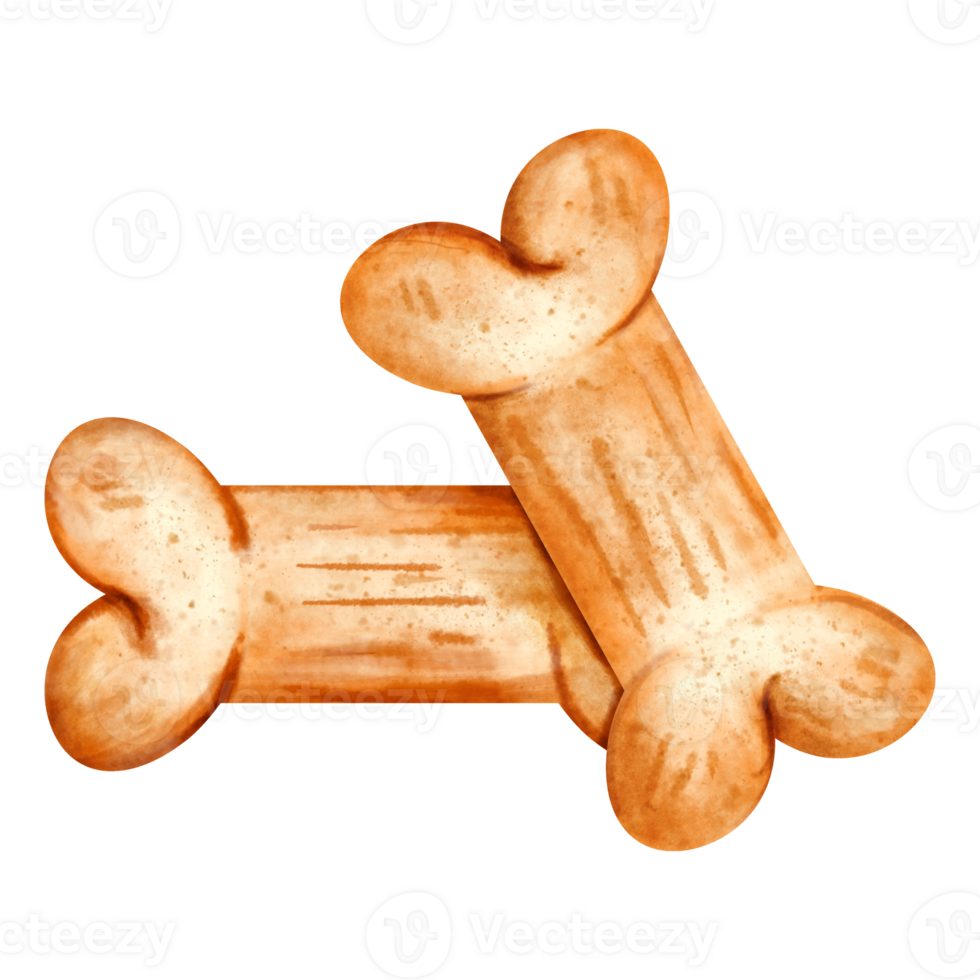 watercolor pet toy png